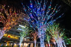 2024クリスマス（３）