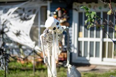 ハッピー・ハロウィン（２）