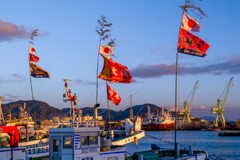 2026年初日の出（６）