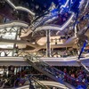 MSCベリッシマ（14）