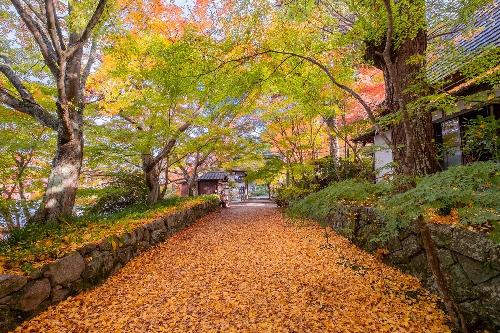 湖南の秋（３）