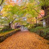湖南の秋（３）