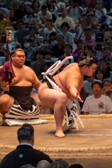 大相撲名古屋場所（９）