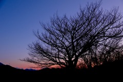 富士山の夜明け（１）