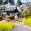 春の十輪寺（１）