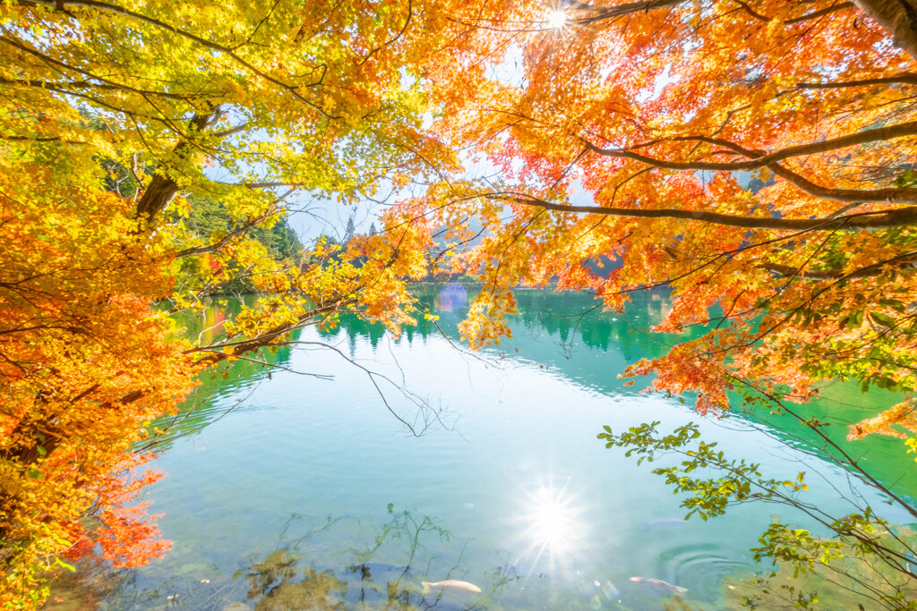 南伊奈ヶ湖の紅葉（４）