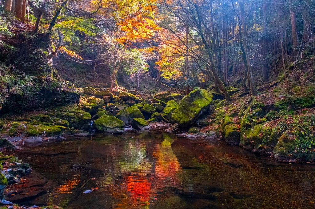 秋の赤目四十八滝（７）