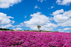 2017 北海道（８）