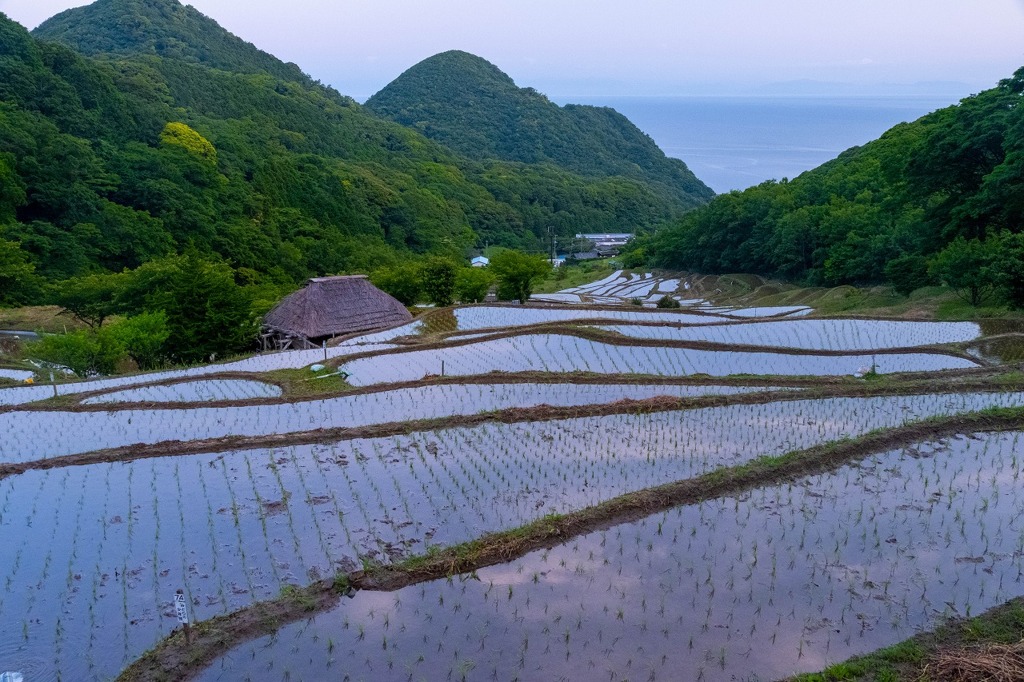 棚田の夜明け（６）