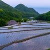 棚田の夜明け（６）