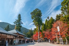 秋の比叡山延暦寺（６）