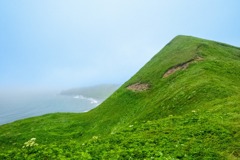 礼文島（３）