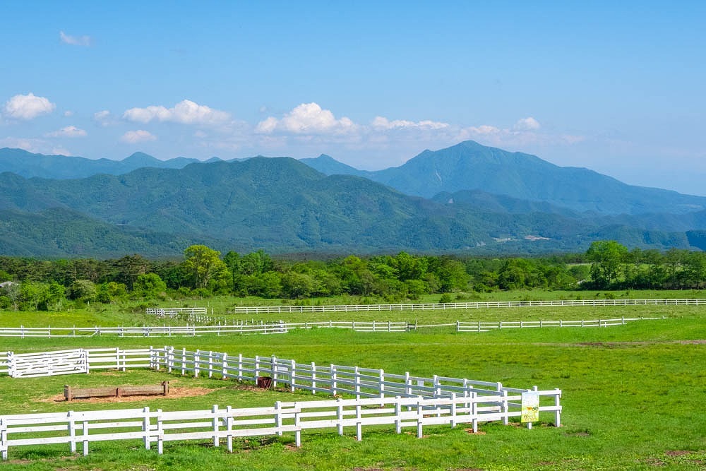 八ヶ岳（３）