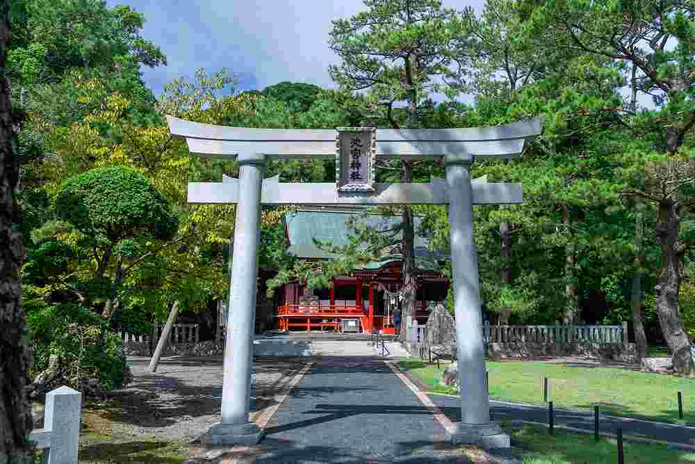 桜ヶ池（５）