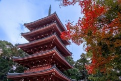 12月の高知（16）