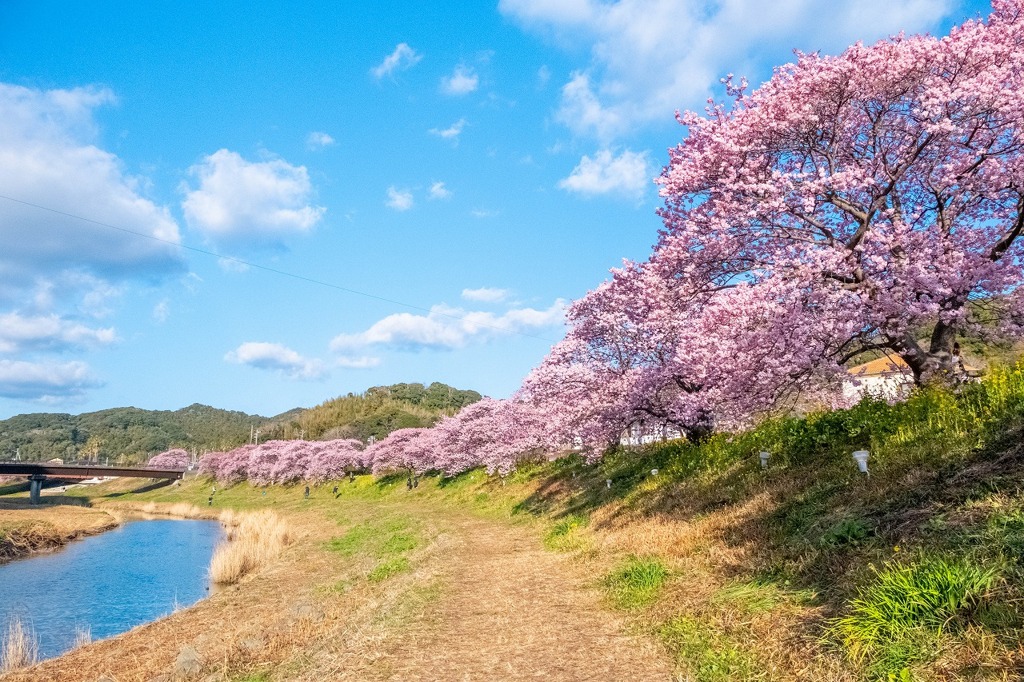 春の伊豆旅（21）