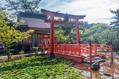 高山稲荷神社（１）