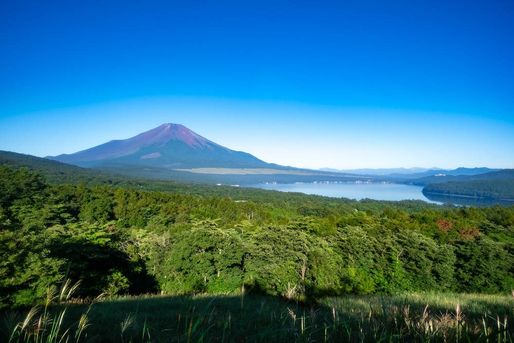 夏の山中湖（１）