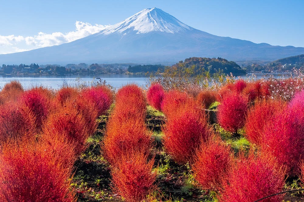 秋の河口湖