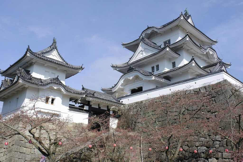 伊賀上野城４