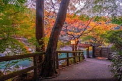 秋の京都（27）