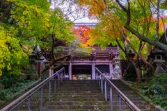 12月の高知（12）
