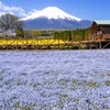 山中湖のゴールデンウィーク（６）