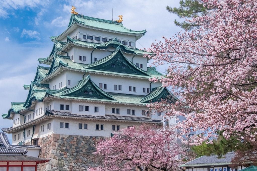 名古屋城桜まつり（３）