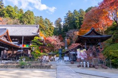 12月の奈良（70）