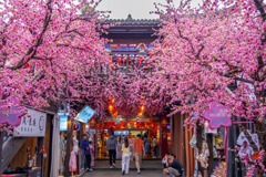 錦里（７）