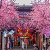 錦里（７）