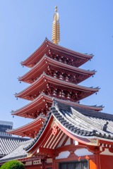 2020年東京の春（29）