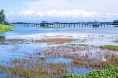 鶴の舞橋