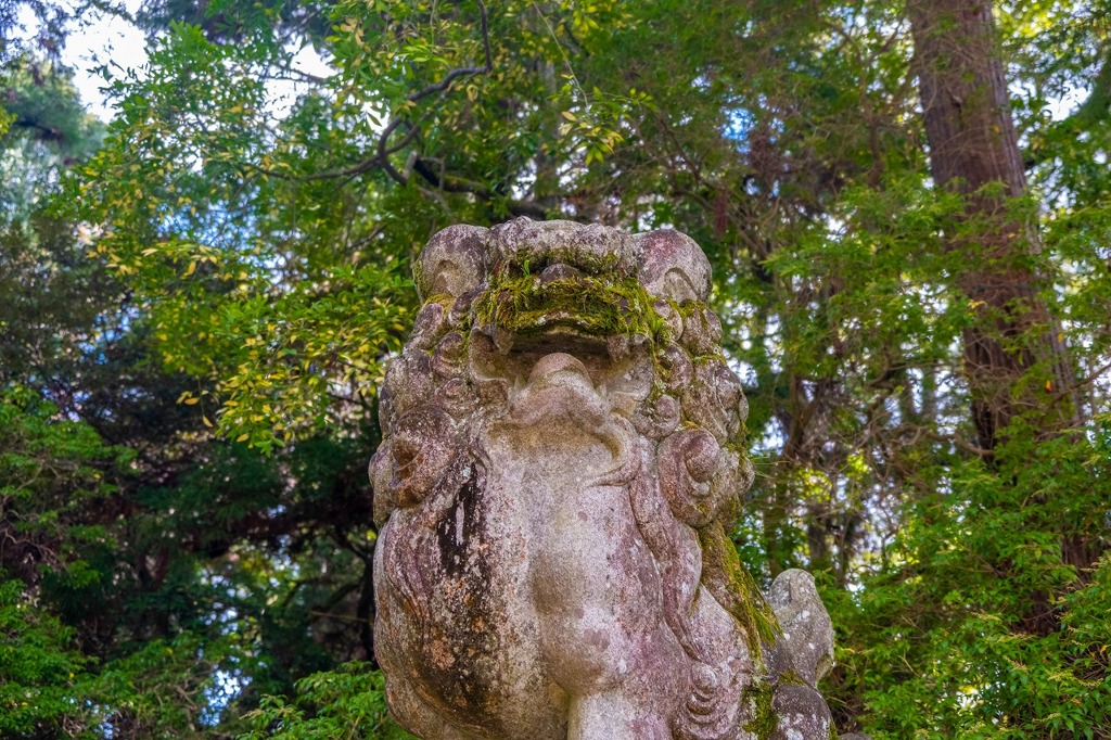 秋の奈良（58）