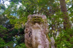 秋の奈良（58）