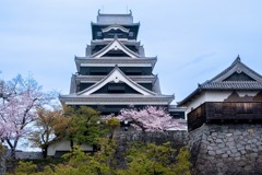 春の熊本城（２）