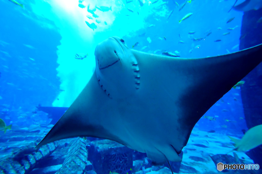 水族館の中３