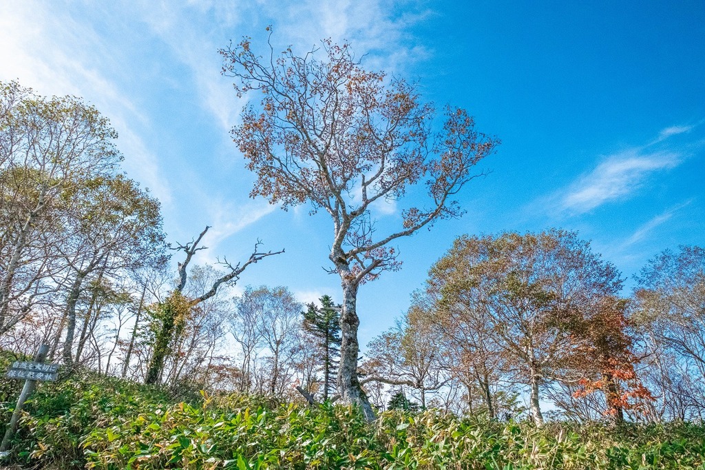 裏摩周展望台（２）