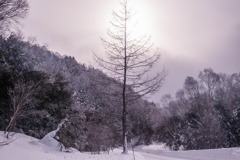 雪の志賀高原（５）