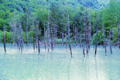 青い池