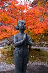 12月の高知（８）