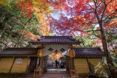 秋の永源寺（１）