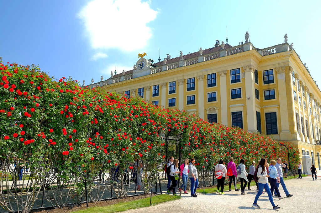 シェーンブルン宮殿３