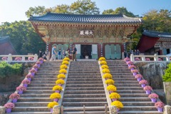 釜山（12）