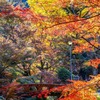 秋の島根（10）