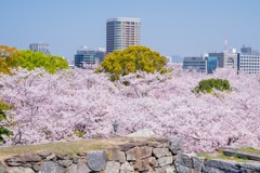 春の鶴舞公園（１）