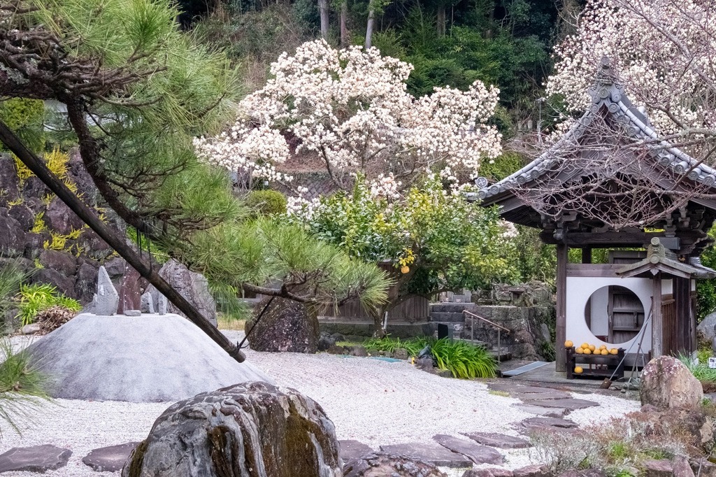 十輪寺（２）