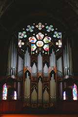 ビクトリア（13）