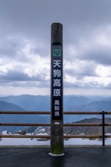 12月の高知（43）