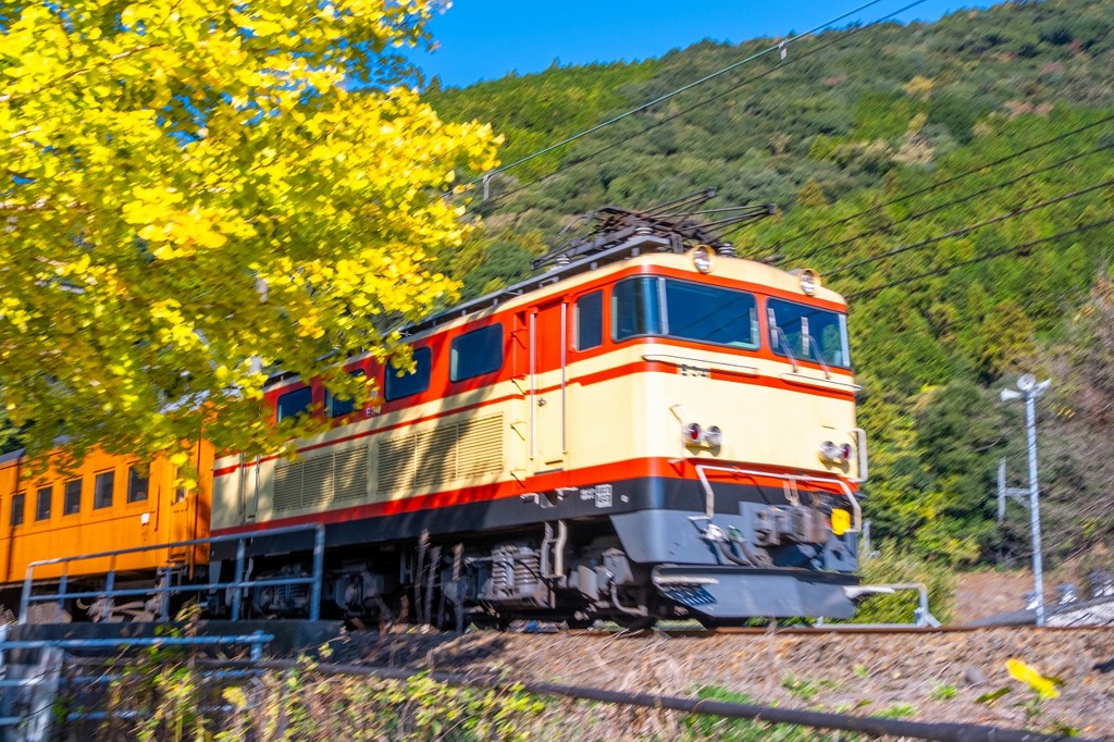 大井川鐡道の旅（25）